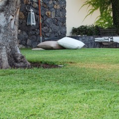 giardino4